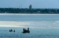 Local fishermen working at low tide, Zanzibar