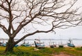 Local fishing boats docked on beach of Weligama, Sri Lanka