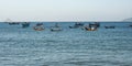 Local fishing boats on sea. Vintage colourful boats with fishing nets