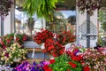Local Flower Shop with Seaonal Flowers in Front Royalty Free Stock Photo