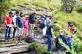 Local and foreign tourists travel in Horton plains