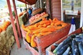 Local fruit shop, dealer in Princeton, British Columbia. Nice decoration with pumpkin, groud, fruits Royalty Free Stock Photo