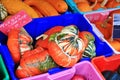 Local fruit shop, dealer in Princeton, British Columbia. Nice decoration with pumpkin, groud, fruits Royalty Free Stock Photo