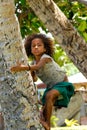 Local girl climbing palm tree in Lavena village, Taveuni Island, Fiji