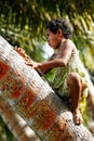 Local girl climbing palm tree to swing on a rope swing in Lavena village, Taveuni Island, Fiji