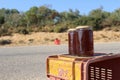 Local Honey for sale in Cap Bon, Tunisia Royalty Free Stock Photo