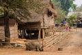 Local houses at Long Neck Karen ethnic hill-tribe guarded village, Royalty Free Stock Photo