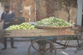 Local Indian vendor taking his fresh assorted green vegetables in the van during lock down period in India.