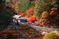 Local korean house in autumn forest at Baekdudaegan Mountain Ran