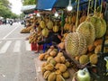 the local level durian festival is attended by many durian fruit sellers
