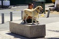 A local man and his Labrador dog siting on a marble plinth in bright sunshine the main street of Playa Las Amrericas in Teneriffe