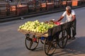 Local man pushing cart with vegetables at Johari Bazaar street i