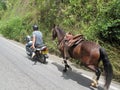 Local man towing a horse with his moped, Colombia