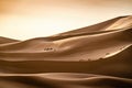 Local man walking through the desert with camel train. Camels with sand dunes. Camel herder walking through desert sand dunes