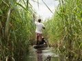 Local man working on Mokoro to deliver tourists and campers across the rivers of the Delta Okawango, Botswana Royalty Free Stock Photo