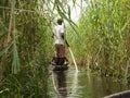 Local man working on Mokoro to deliver tourists and campers across the rivers of the Delta Okawango, Botswana Royalty Free Stock Photo