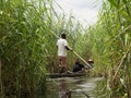 Local man working on Mokoro to deliver tourists and campers across the rivers of the Delta Okawango, Botswana Royalty Free Stock Photo