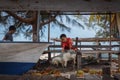 A local Mantanani Island,kids are playing with goat