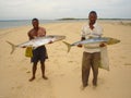 Local Mozambican fisherman caught Baracudas with hand lines Royalty Free Stock Photo