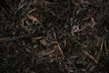 Local native Australian leaf litter with gum tree branches and leaves on the ground