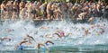 Local open waters swimming competition