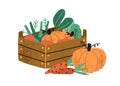 Local organic harvested crops in a wooden box. Autumn vegetables like pumpkin and carrots. Harvest gathering time