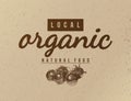 Local organic natural food background.