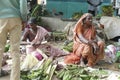 Local outdoor vegetable market in Chitambaram