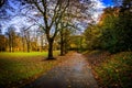 Local Park with beautiful golden orange autumn fall leaves lying on public path in Kilmarnock, Scotland UK