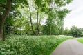 A local park with a pathway Royalty Free Stock Photo