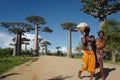 Local people and baobab trees in Morondava, Madagascar Royalty Free Stock Photo