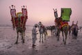 Local people with camel and tourists in Clifton beach in Karachi, Pakistan Royalty Free Stock Photo