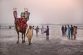 Local people with camel and tourists in Clifton beach in Karachi, Pakistan Royalty Free Stock Photo