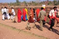 Local people walking around Ranthambore Fort amongst gray langurs, India