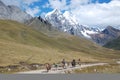 Local Peruvian horseman carrying goods in Peru