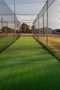 Local Practice Cricket Pitch Royalty Free Stock Photo