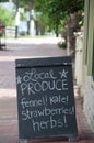 Local Produce: Fennel, Kale, Strawberries & Herbs