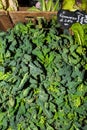Local produce for sale at the market. Kale Royalty Free Stock Photo