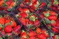 Local produce for sale at the market. Strawberries Royalty Free Stock Photo