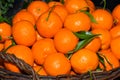 Local produce for sale, oranges