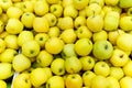 Local produce yellow apples displayed for sale at the market. Organic and bio fresh healthy eating concept Royalty Free Stock Photo