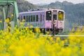 Local purple train of Nogata Heisei Chikuho Railway in Fukuoka, Japan. Taken in Nogata City, Fukuoka, Japan on April 7, 2019 in s