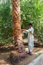 Local resident prepares to climb a date palm tree in ethnic working clothes