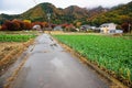 Local road to Kawaguchiko Maple corridor