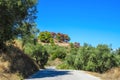 Local road trough the hills of Zakynthos island, Greece