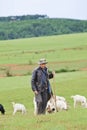 Local sheperd with a goat herd in green mountains, Kunming, China