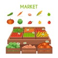 Local stall market. Selling vegetables. Flat vector illustration Royalty Free Stock Photo