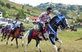 Local teams play with many horses traditional game Skirmish, Ecuador