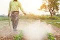 Local Thai farmer or gardener spraying chemical in Marigold flow