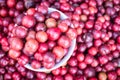 Local Thai forest berry fruit in Chiang Mai market